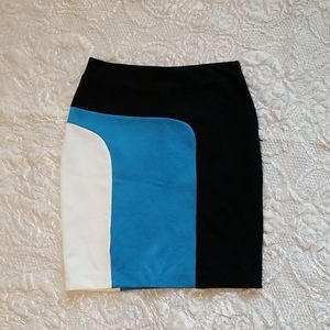 Ann Taylor Petite Pencil Skirt